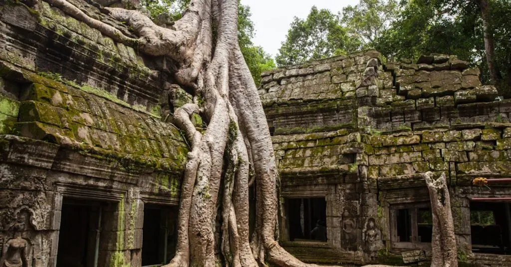découvrez l'archéologie, une science fascinante qui explore les civilisations passées à travers leurs vestiges. plongez dans l'étude des artefacts, des sites historiques et des techniques de fouille pour comprendre notre héritage culturel et reconstituer l'histoire de l'humanité.