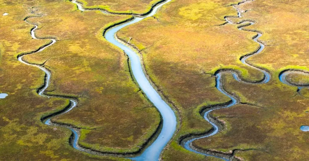 découvrez les régulations de l'intelligence artificielle en californie, une approche innovante pour encadrer le développement technologique tout en protégeant les droits individuels et en garantissant la sécurité. informez-vous sur les lois émergentes et leur impact sur l'industrie et la société.