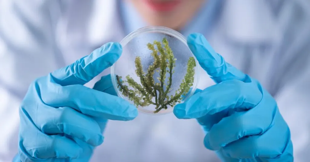 découvrez les dernières tendances et innovations dans le domaine de la santé. explorez nos articles sur les soins médicaux, le bien-être, la technologie de la santé et les traitements pour améliorer votre qualité de vie.