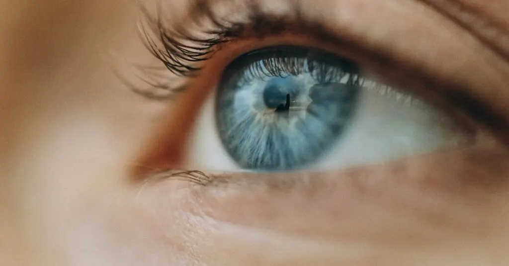 découvrez comment les perceptions façonnent notre réalité, influencent nos choix et impactent nos relations. plongez dans l'univers des perceptions à travers des articles, des études et des témoignages qui éclairent ce phénomène fascinant.