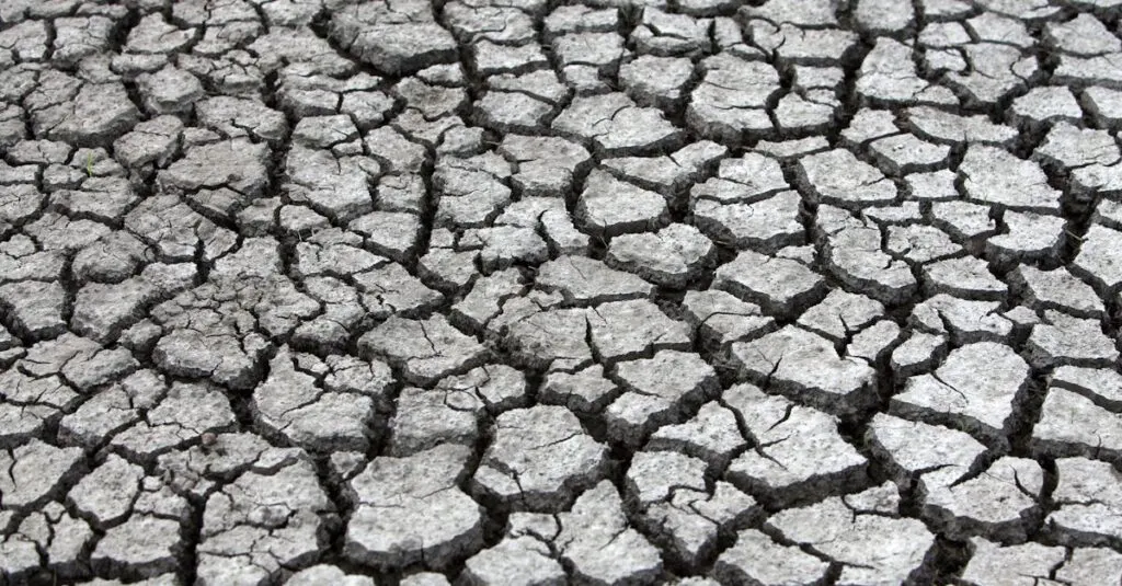 découvrez les enjeux de la pénurie d'eau, ses causes et ses conséquences sur notre planète. informez-vous sur les solutions durables pour préserver cette ressource vitale et garantir un avenir meilleur pour les générations futures.