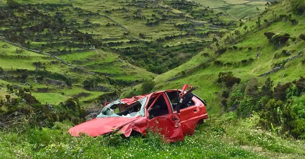 découvrez les accidents impliquant des casoars, ces oiseaux géants et fascinants. apprenez les raisons derrière ces incidents surprenants et les précautions à prendre lors de la rencontre avec ces créatures sauvages.