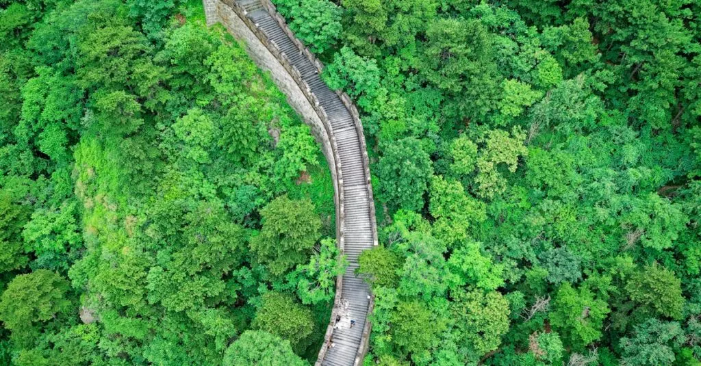 découvrez la chine : un pays aux mille facettes, entre traditions ancestrales et modernité, riches paysages, histoire fascinante et culture incontournable.