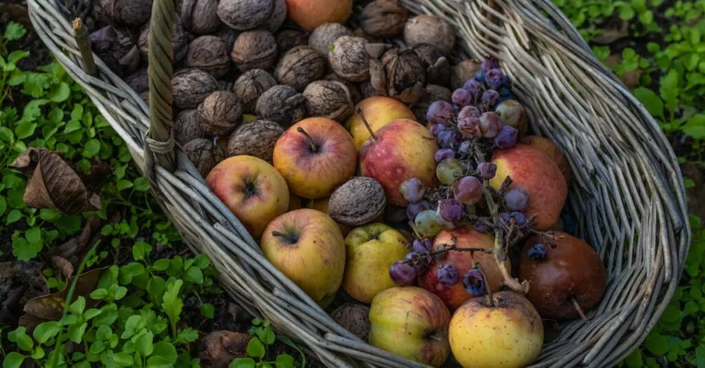 découvrez les causes, conséquences et solutions possibles à l'insécurité alimentaire, un enjeu mondial qui impacte la santé, l'économie et le bien-être de millions de personnes.