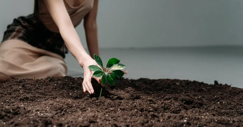 découvrez les perspectives et innovations qui façonnent la vie future, entre technologie, société et développement durable.