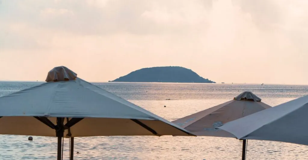 profitez de la plage en toute sérénité avec notre parasol de plage résistant et facile à installer, idéal pour vous protéger du soleil.