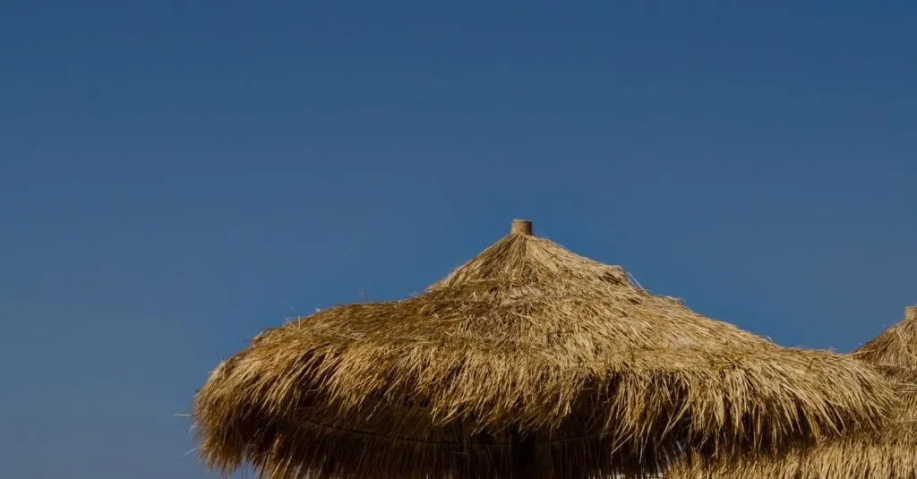 découvrez notre sélection d'ombrelles de plage pour un confort optimal sous le soleil. protégez-vous efficacement avec style lors de vos journées en bord de mer.