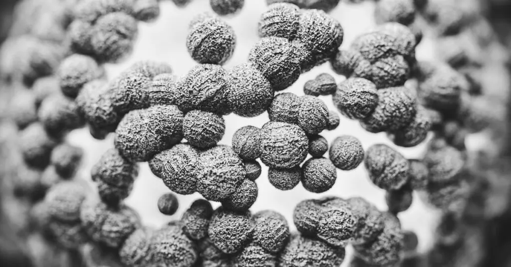 découvrez tout sur les bactéries rares : leurs caractéristiques uniques, leur impact sur la santé et les environnements où elles se développent.