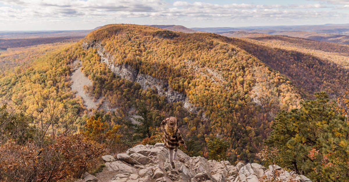 découvrez la vie et les stratégies d'investissement de warren buffett, l'un des investisseurs les plus célèbres au monde. apprenez ses conseils pour réussir sur les marchés financiers et comprendre sa philosophie d'investissement.
