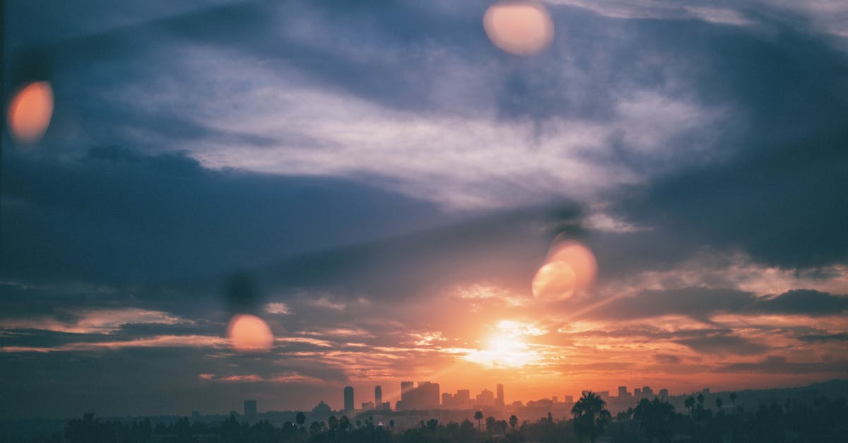 découvrez l'univers fascinant d'hollywood, la capitale mondiale du cinéma, où les rêves prennent vie. explorez les célèbres studios, les stars emblématiques et les événements cinématographiques qui font de cette ville un véritable symbole de l'industrie du divertissement.