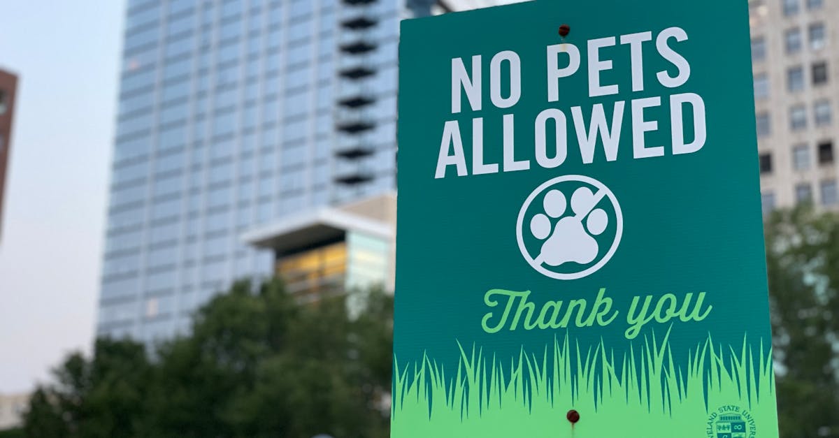 découvrez les règles et régulations américaines qui façonnent la législation et le fonctionnement des entreprises aux états-unis. informez-vous sur les normes, les lois et les pratiques essentielles à connaître pour naviguer efficacement dans le paysage réglementaire américain.