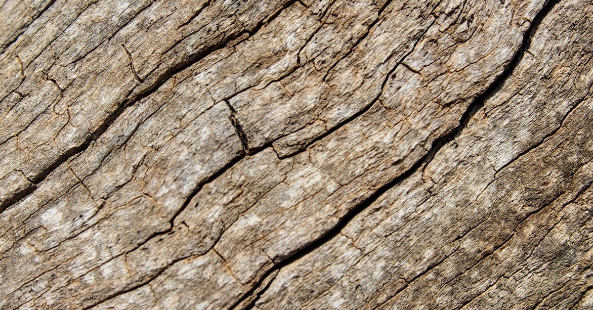 découvrez le concept d'âge biologique, une mesure qui évalue votre santé et votre bien-être au-delà de votre âge chronologique. apprenez comment divers facteurs, tels que le mode de vie et la génétique, peuvent influencer votre âge biologique, et explorez des conseils pour le maintenir à un niveau optimal.