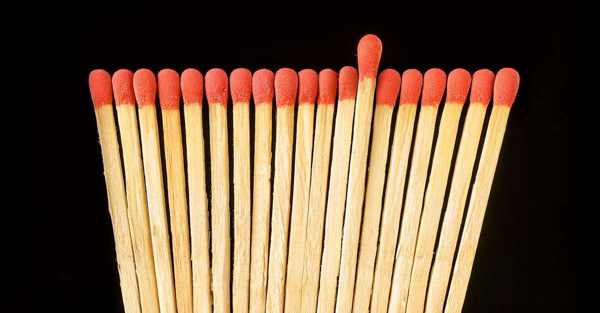 découvrez les implications et les enjeux des ordonnances exécutives, des instruments clés du pouvoir exécutif qui permettent de mettre en œuvre des politiques et des décisions gouvernementales rapidement et efficacement.