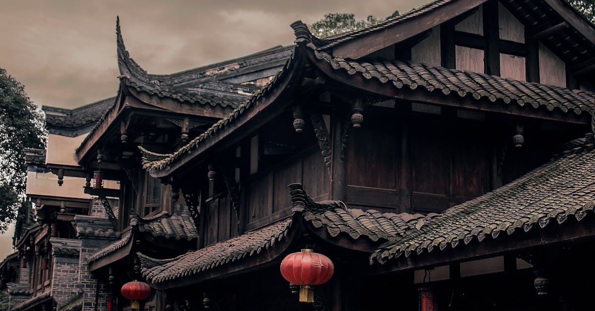 découvrez tout sur la chine, un pays riche en histoire, culture et paysages variés. plongez dans son héritage millénaire, ses grandes villes, sa cuisine délicieuse et ses traditions fascinantes.