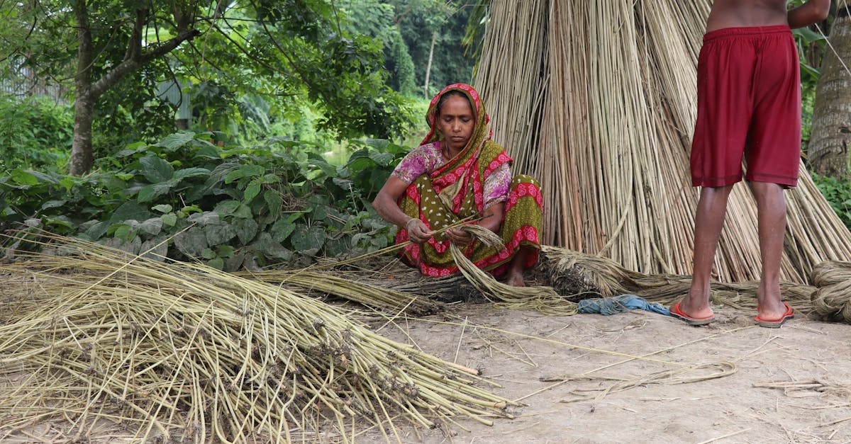 découvrez la richesse des savoirs autochtones : traditions, pratiques et connaissances transmises de génération en génération pour préserver l’environnement, la santé et le bien-être communautaire.