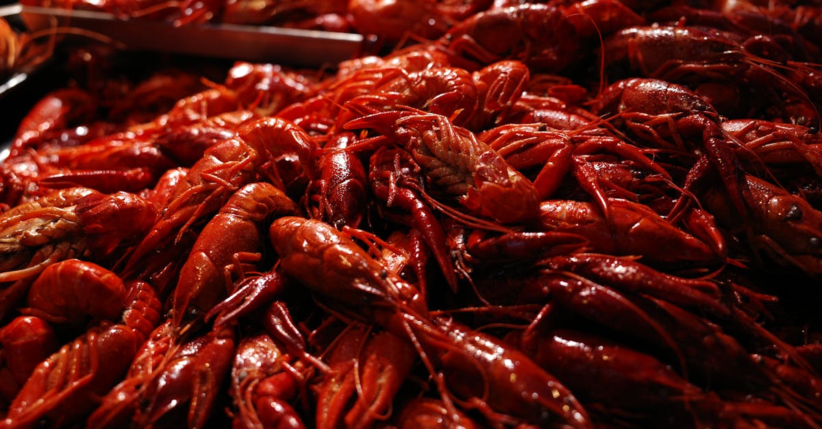 découvrez ce qu'est une correction de marché, ses causes, ses impacts sur les investissements et comment s'y préparer pour protéger votre portefeuille financier.