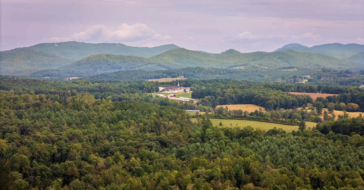 découvrez les principales raisons des échecs des entreprises utilisant l'intelligence artificielle et comment les éviter pour assurer le succès de votre projet ia.