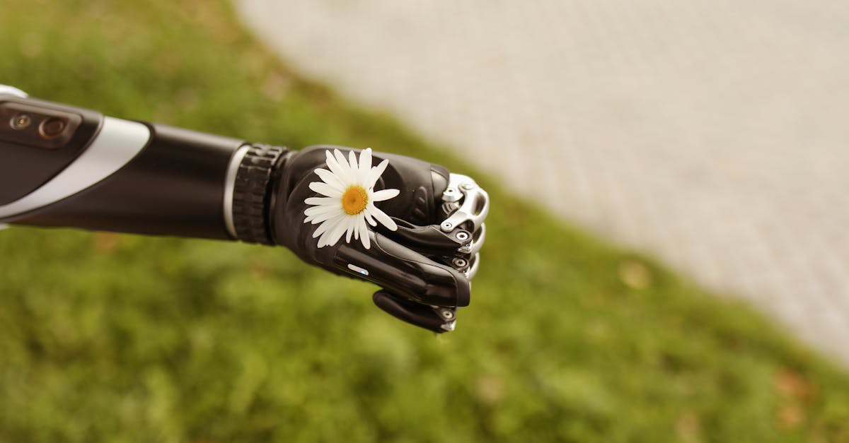découvrez les robots humanoïdes : des machines avancées conçues pour imiter l'apparence et les mouvements humains, utilisées dans divers domaines technologiques et industriels.