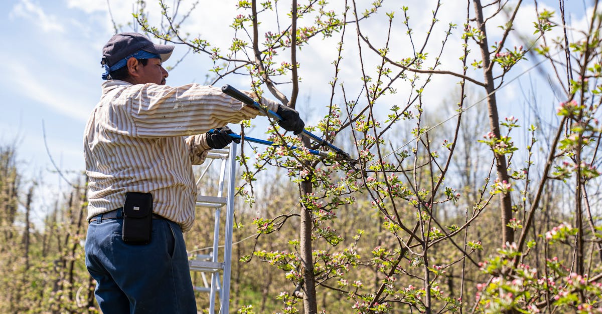 découvrez les dernières informations sur les suppressions d'emplois, leurs impacts et les mesures à prendre face aux réductions de personnel.