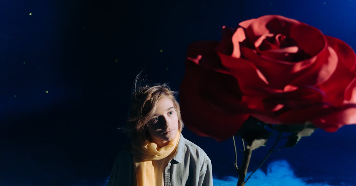 découvrez le rôle et l'influence des acteurs étatiques dans la politique internationale, la sécurité et les relations diplomatiques.