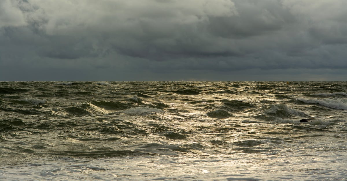découvrez l'augmentation spectaculaire du cours de l'action tss et les facteurs clés qui influencent cette hausse sur le marché boursier.
