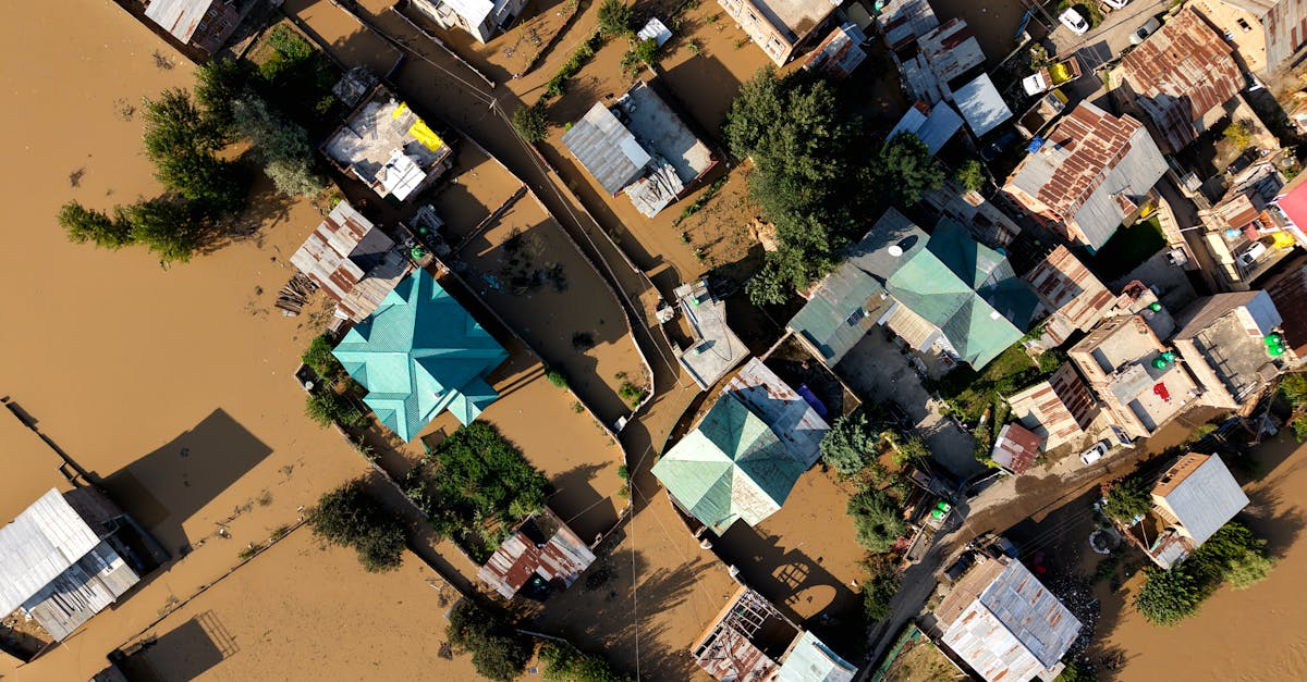 découvrez comment construire des infrastructures résilientes capables de résister aux défis environnementaux et garantir la continuité des services essentiels.