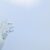 Cette action Cloud d&rsquo;Intelligence Artificielle a surpassé Amazon, Microsoft et bien d&rsquo;autres…