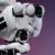 Les actions de l&rsquo;intelligence artificielle surpassent largement le marché global en 2026
