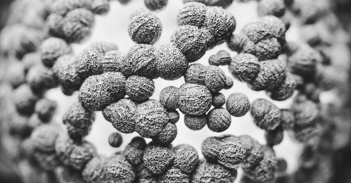 découvrez tout sur les bactéries rares : leurs caractéristiques uniques, leur impact sur la santé et les environnements où elles se développent.